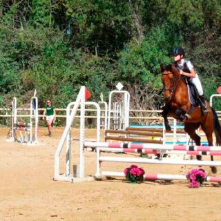 Poney Club Maurin Stage Concours CSO Équitation Montpellier